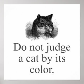 Do Not Judge A Cat  Poster