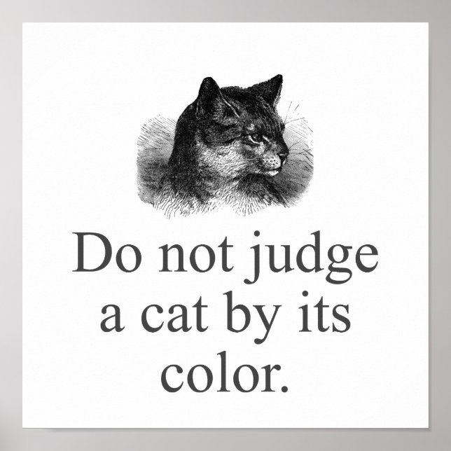 Do Not Judge A Cat  Poster (Front)