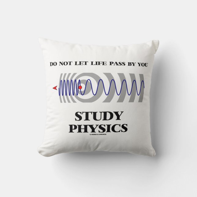 Do Not Let Life Pass By You Study Physics Cushion (Front)