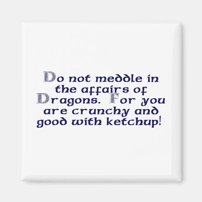 Do not meddle in the affairs of Dragons. Magnet (Front)