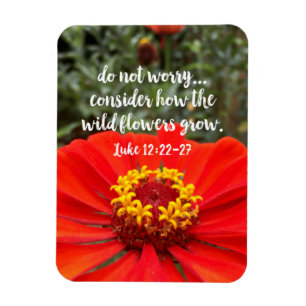 Do Not Worry Consider Wild Flowers Christian Bible Magnet
