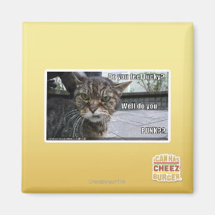 Do you feel lucky? magnet