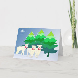 Do you see little sheep? holiday card