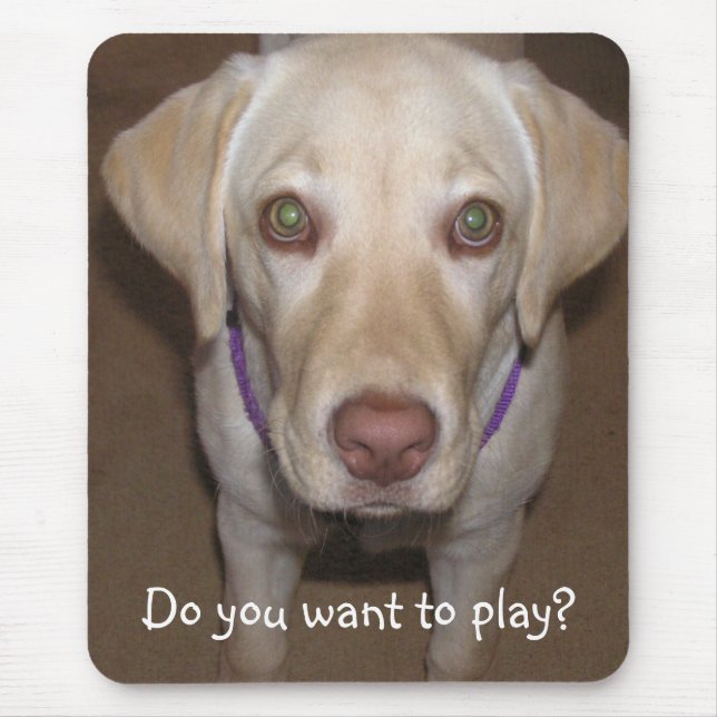Do you want to play? Yellow Lab Mousepad (Front)