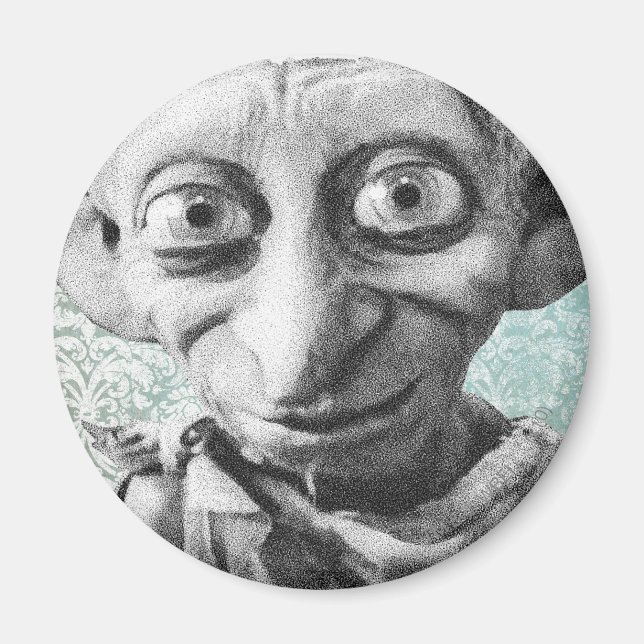 Dobby 4 magnet (Front)