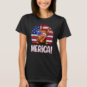 Doberman 4th Of July American Flag Dog Men Women T-Shirt