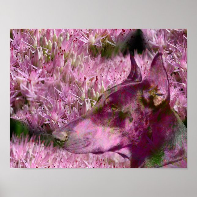 Doberman And Pink Flowers Fantasy Dog Art Poster (Front)