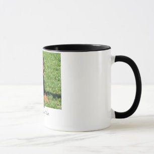 Doberman: Beauty, Grace and Power Mug