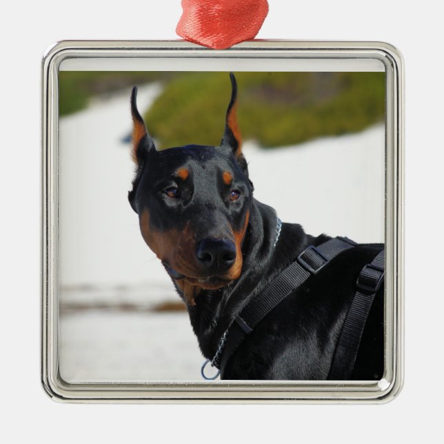 Doberman - Black - Bogie Metal Tree Decoration (Front)