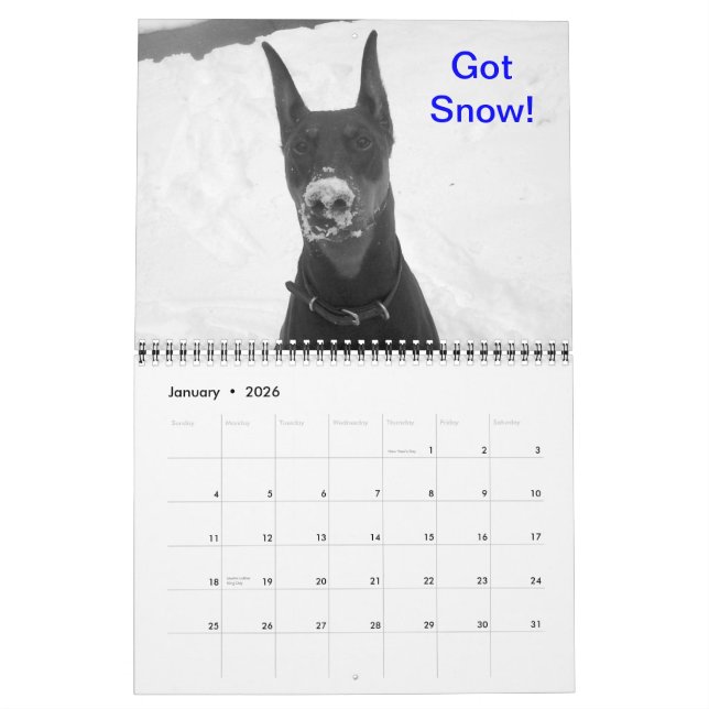 Doberman Calendar (Jan 2026)