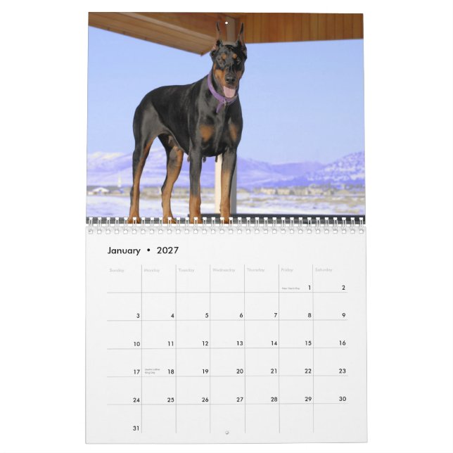 Doberman Calendar 2013 (Jan 2027)