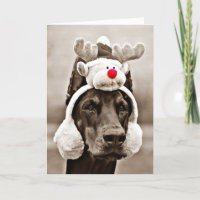 Doberman Christmas Card