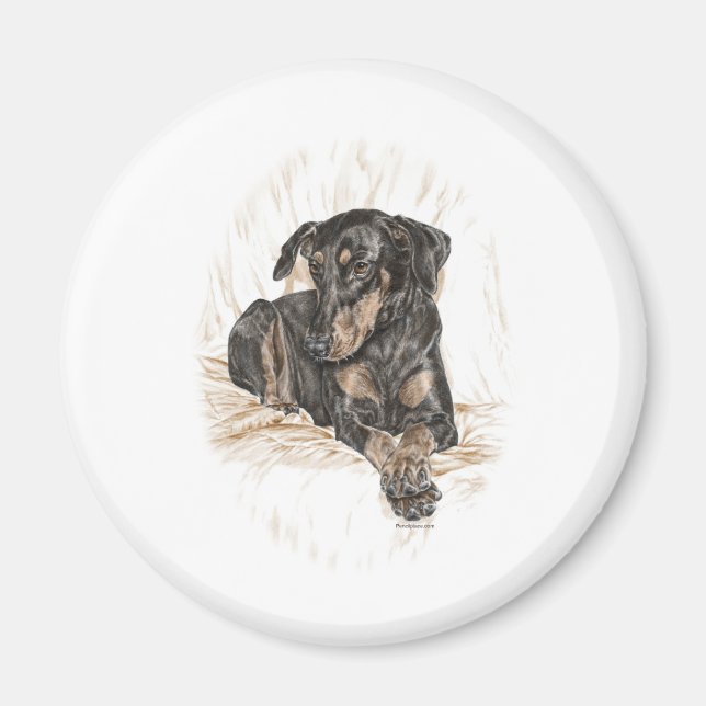 Doberman Dog Natural Ears Magnet (Front)