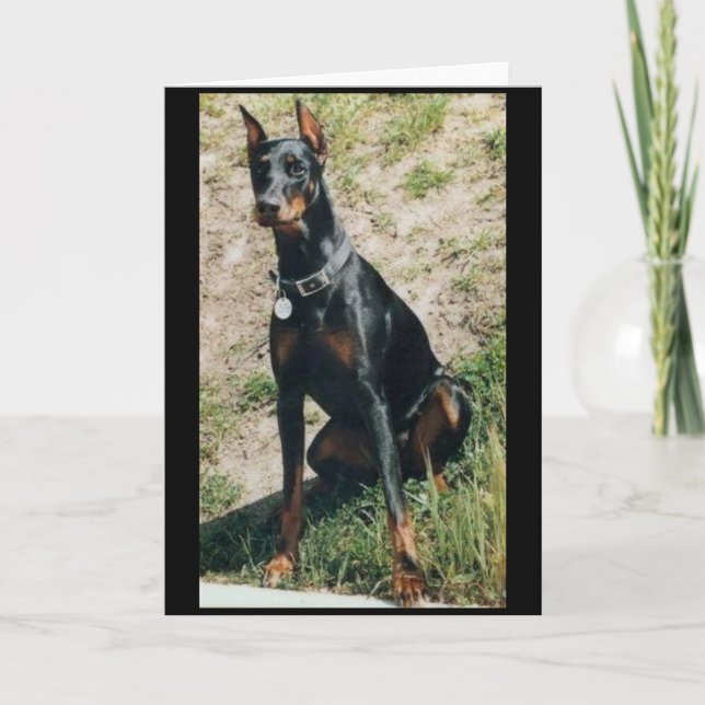 Doberman greeting card (Front)
