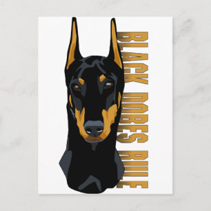 Doberman Head, Black Dobes Rule Postcard