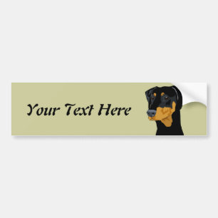 Doberman Head, Black, Uncropped Bumper Sticker