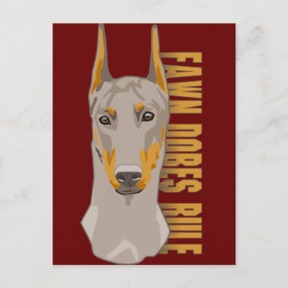 Doberman Head, Fawn Dogs Rule Postcard