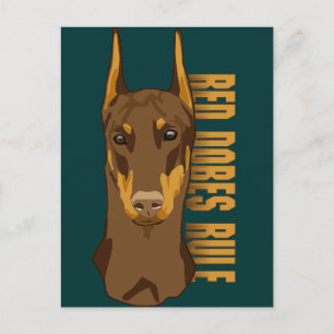 Doberman Head, Red Dobes Rule Postcard