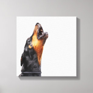 Doberman howling canvas print