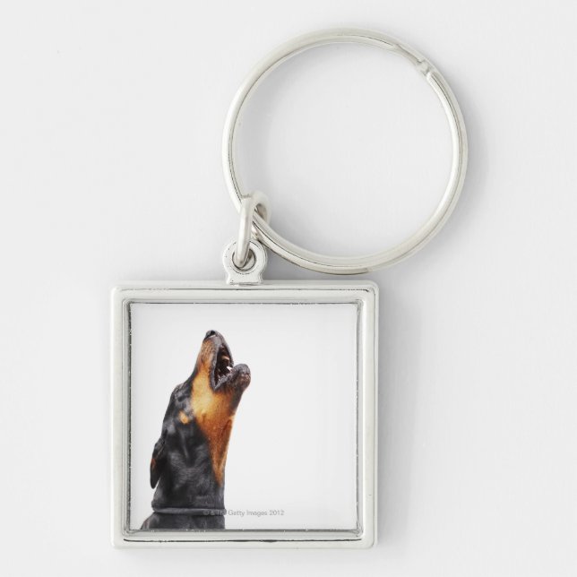 Doberman howling, close-up key ring (Front)