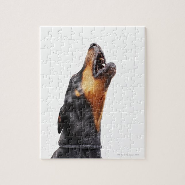 Doberman howling jigsaw puzzle (Vertical)