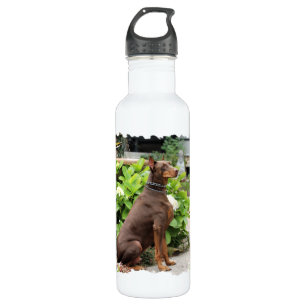 Doberman - In the Church Garden 710 Ml Water Bottle