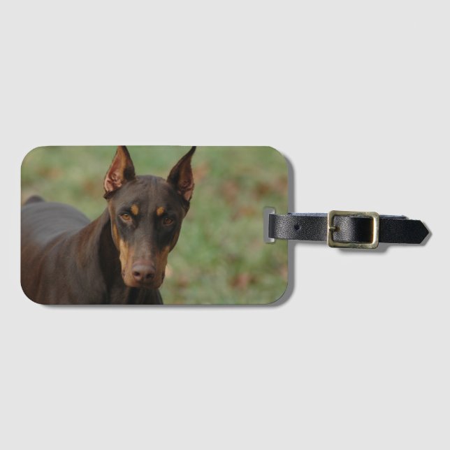 doberman luggage tag (Front Horizontal)