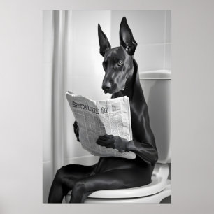 Doberman on Toilet, Newspaper, Funny Bathroom Art Poster