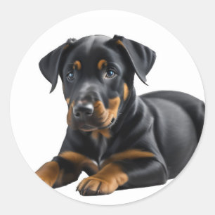 Doberman Pincer Puppy Classic Round Sticker