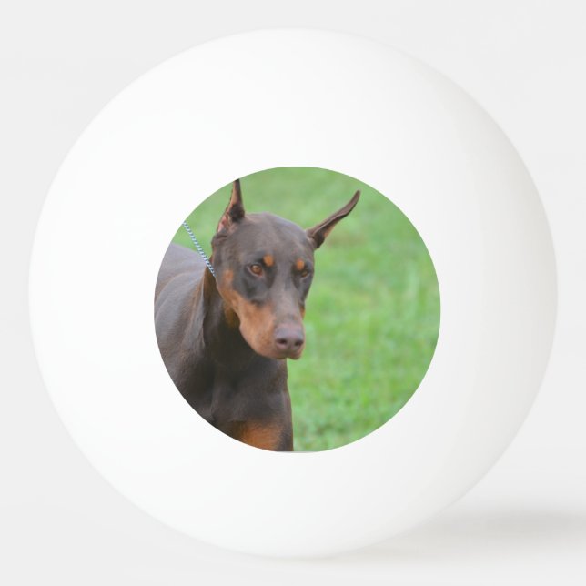 Doberman Ping Pong Ball (Front)