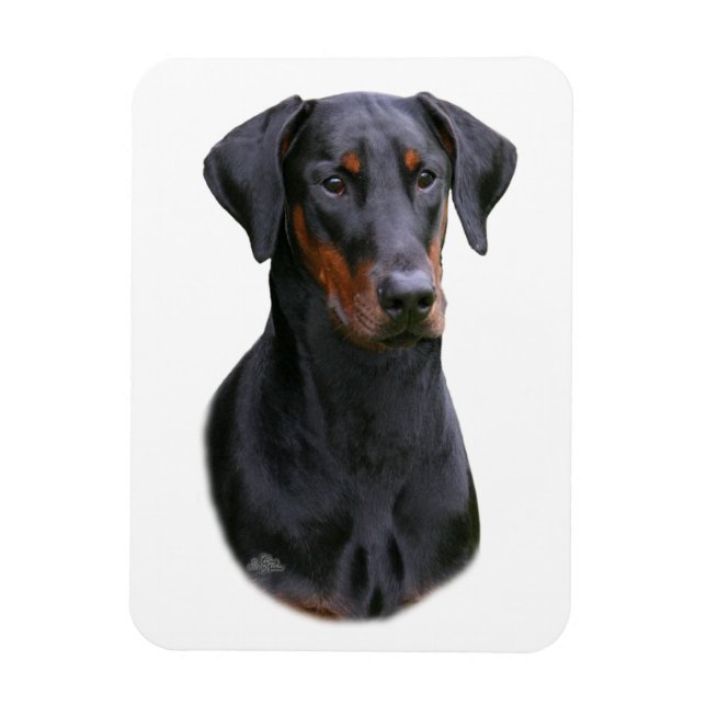 Doberman Pinscher- black natural eared Magnet (Vertical)