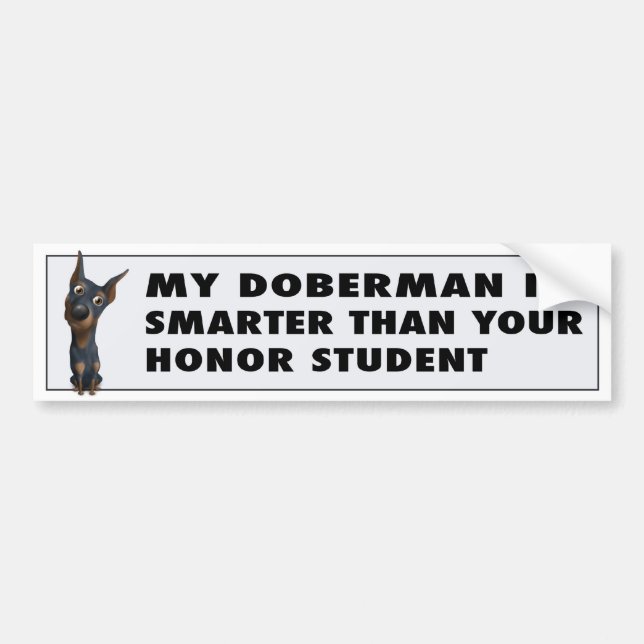 Doberman Pinscher (Black & Tan) Honour DOB1 Bumper Sticker (Front)