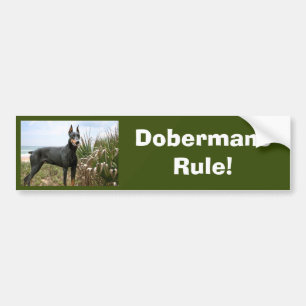 Doberman Pinscher Bumper Sticker