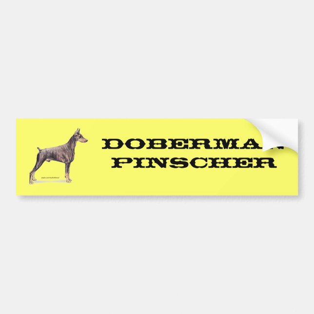 Doberman Pinscher Bumper Sticker (Front)
