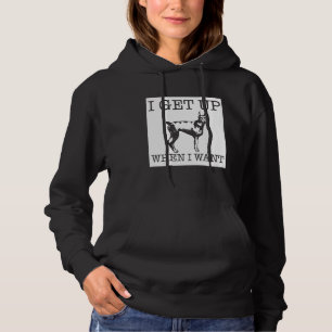 Doberman Pinscher dog 1 Hoodie