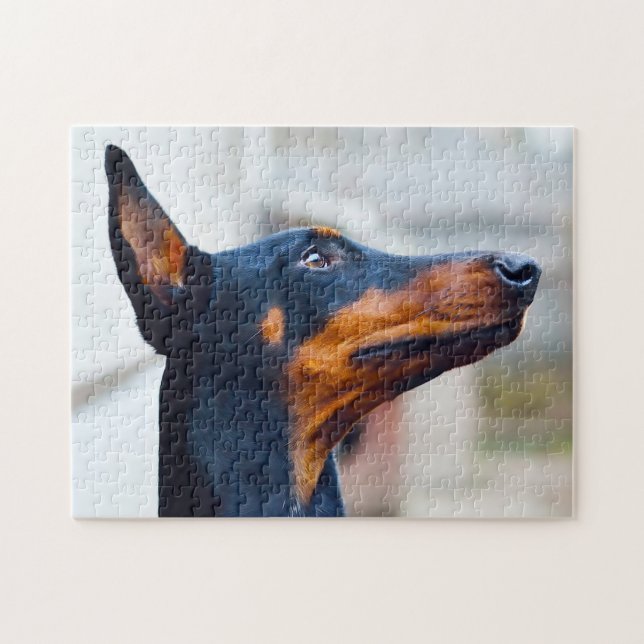 Doberman Pinscher Dog. Jigsaw Puzzle (Horizontal)
