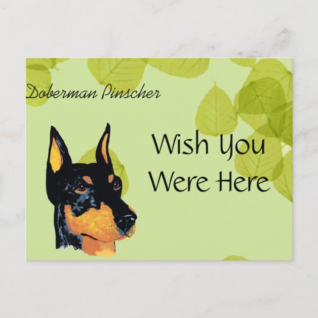 Doberman Pinscher ~ Green Leaves Design Postcard (Front)
