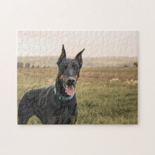 Doberman Pinscher in Field Jigsaw Puzzle