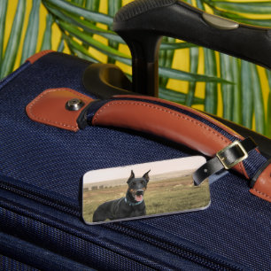 Doberman Pinscher In Field Luggage Tag