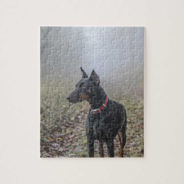 Doberman Pinscher Jigsaw Puzzle (Vertical)