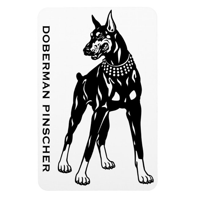 doberman pinscher magnet (Vertical)