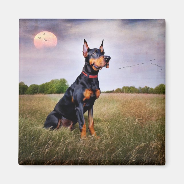 Doberman Pinscher Magnet (Front)