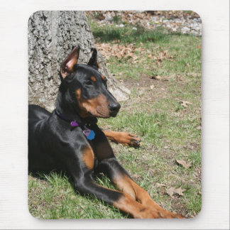 Doberman Pinscher Mouse Pad