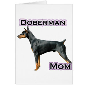 Doberman Pinscher Mum 4
