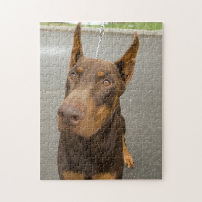 Doberman Pinscher Photo Jigsaw Puzzle (Vertical)