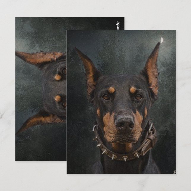 Doberman Pinscher  Postcard (Front/Back)