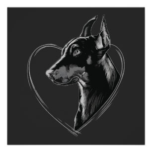 Doberman Pinscher Poster