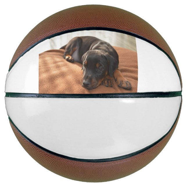 doberman-pinscher-puppy basketball (Front)