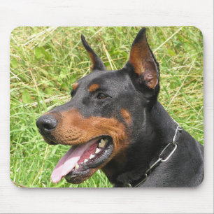 Doberman Pinscher Puppy Dog Blackboard Mousepad