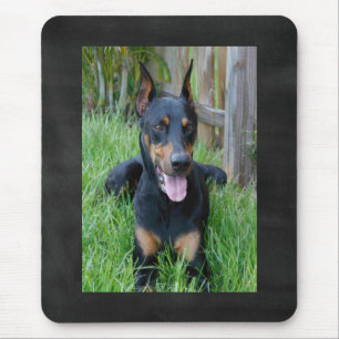 Doberman Pinscher Puppy Dog Blackboard Mousepad